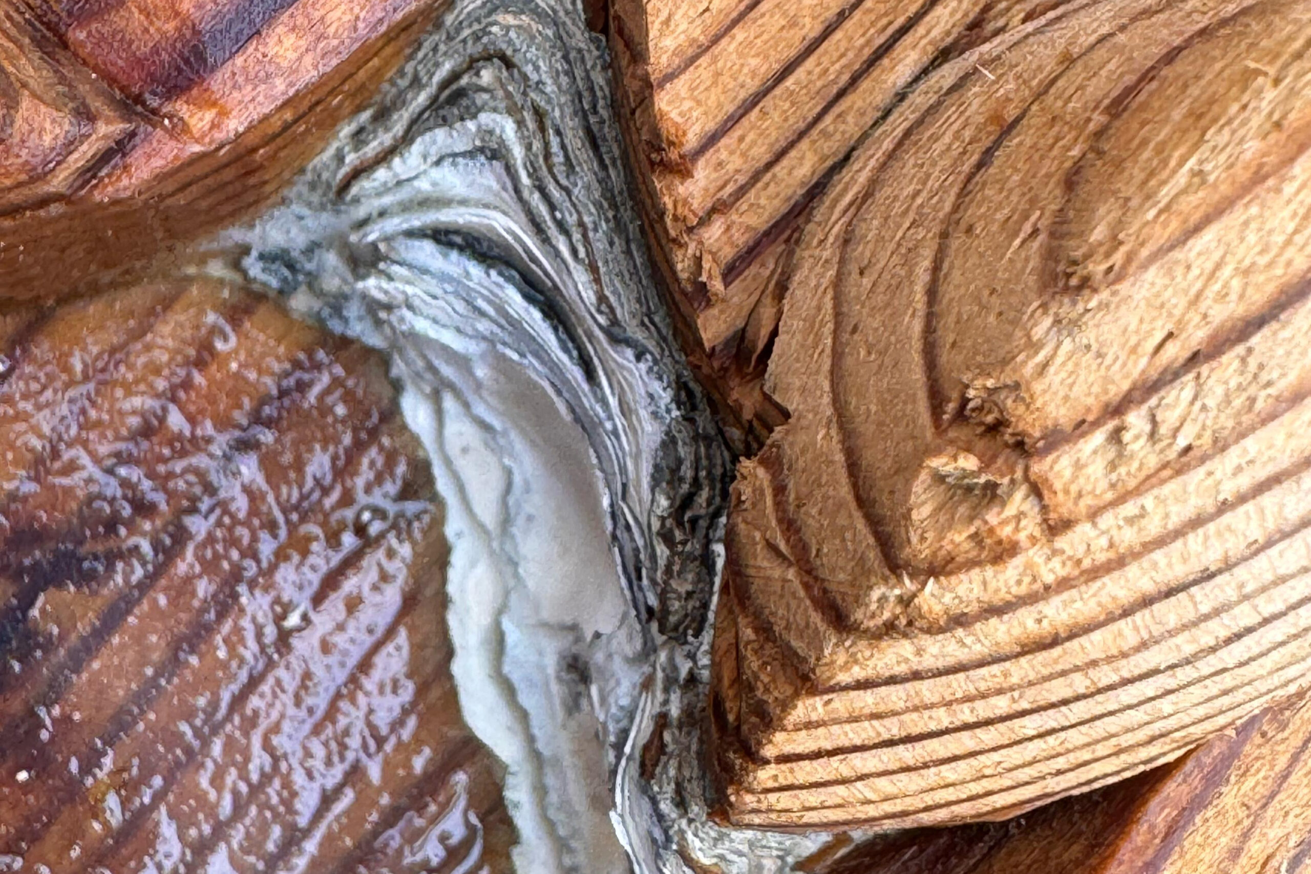 Close-up of stripped wooden door panel