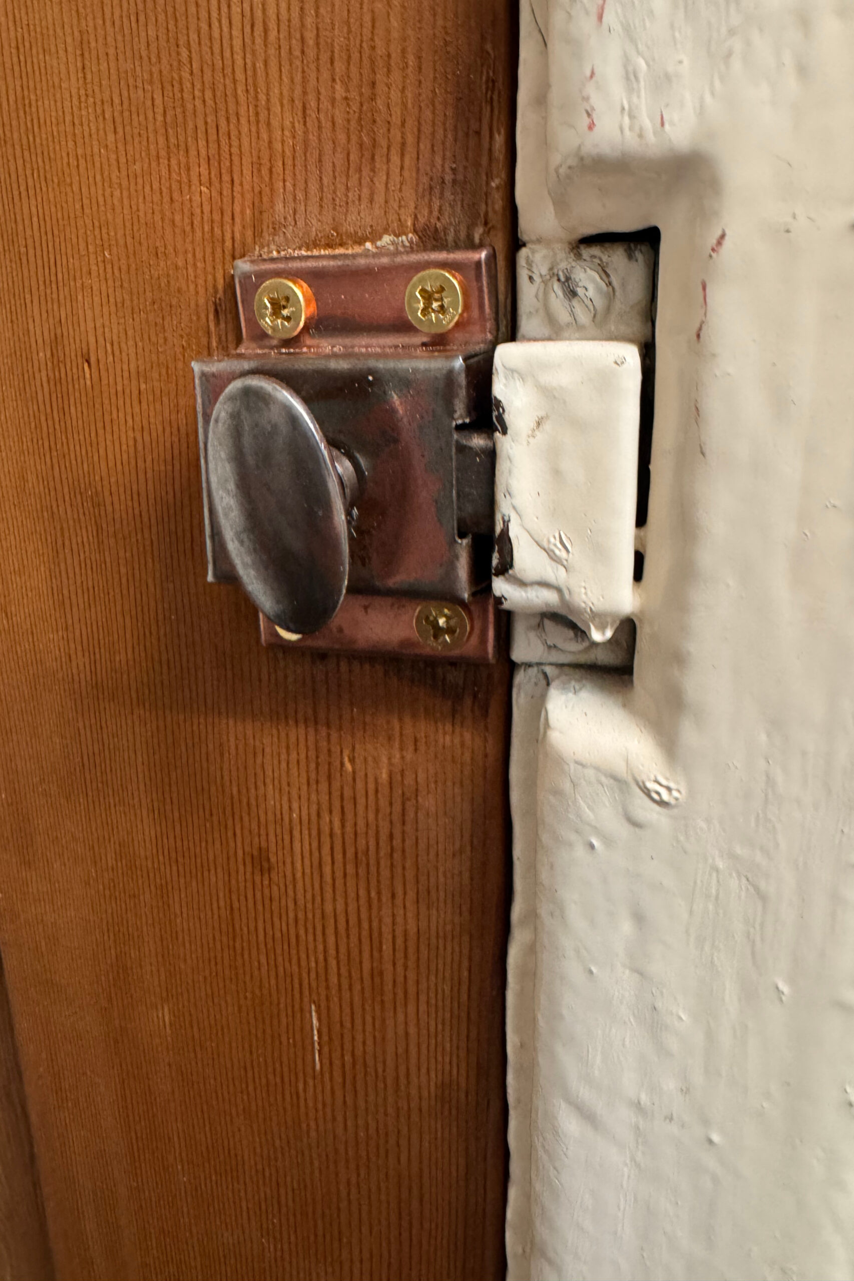 Pine door grain after stripping